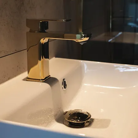 Zagroda Rusinski 布库维纳塔然斯卡