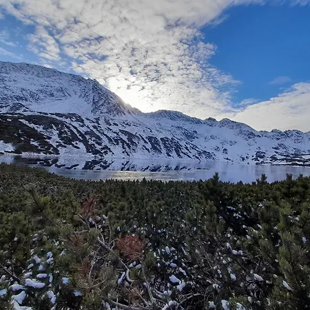 Alpstuga Zagroda Rusinski Bukowina Tatrzańska