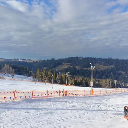 Zagroda Rusinski 木屋 布库维纳塔然斯卡