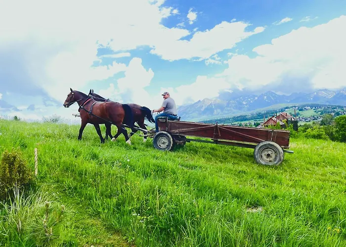 샬레 Zagroda Rusinski 부코비나 타트잔스카